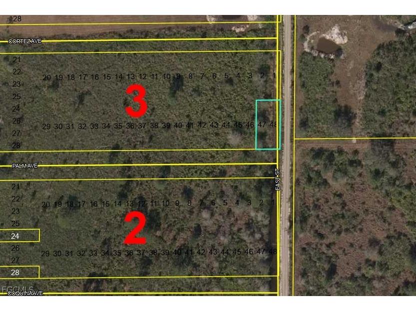 LOTS 47 + 48 Palm Avenue Labelle FL 33935 2026012572 image1