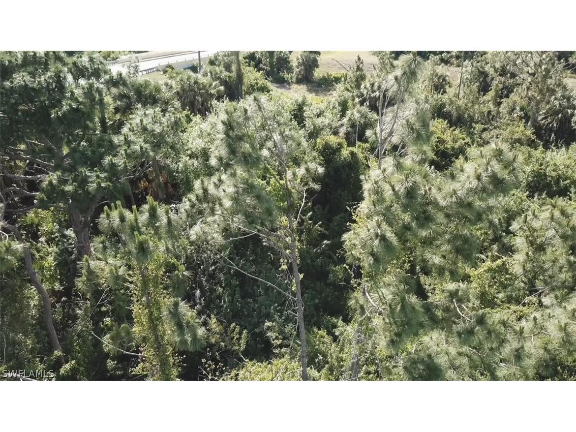 Lot 06 Mansfield Circle North Port FL 34288 224038581 image5