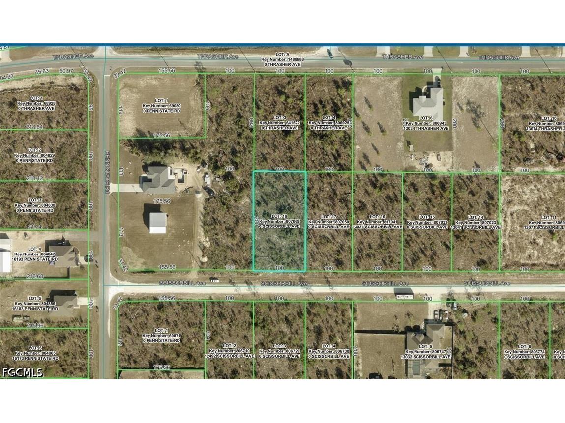 Scissorbill Avenue Lot #18 Weeki Wachee FL 34614 2026023070 image2