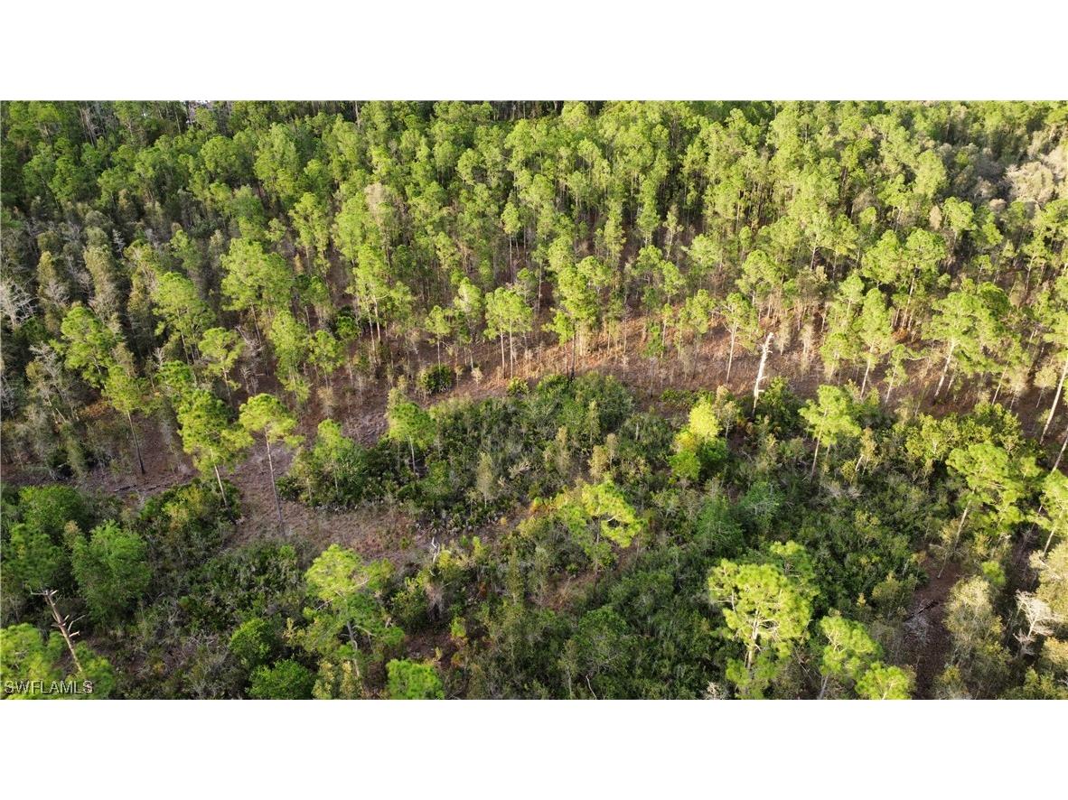 TBD 48th Ave Ne Naples FL 34120 224004869 image1