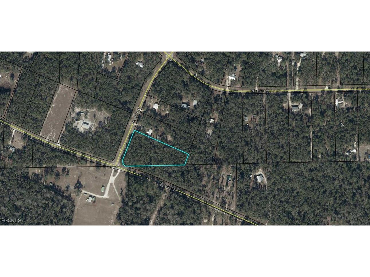 TBD 674th Street Old Town FL 32680 2025002168 image1