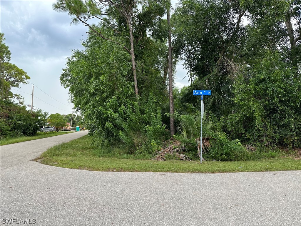 TBD Corner Lot Lehigh Acres FL 33971 223062862 image1