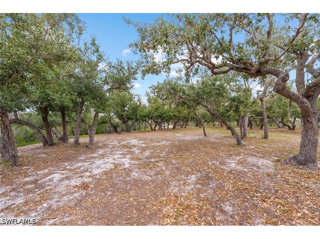 X Burgess Island Bokeelia FL 33922 226015871 image46