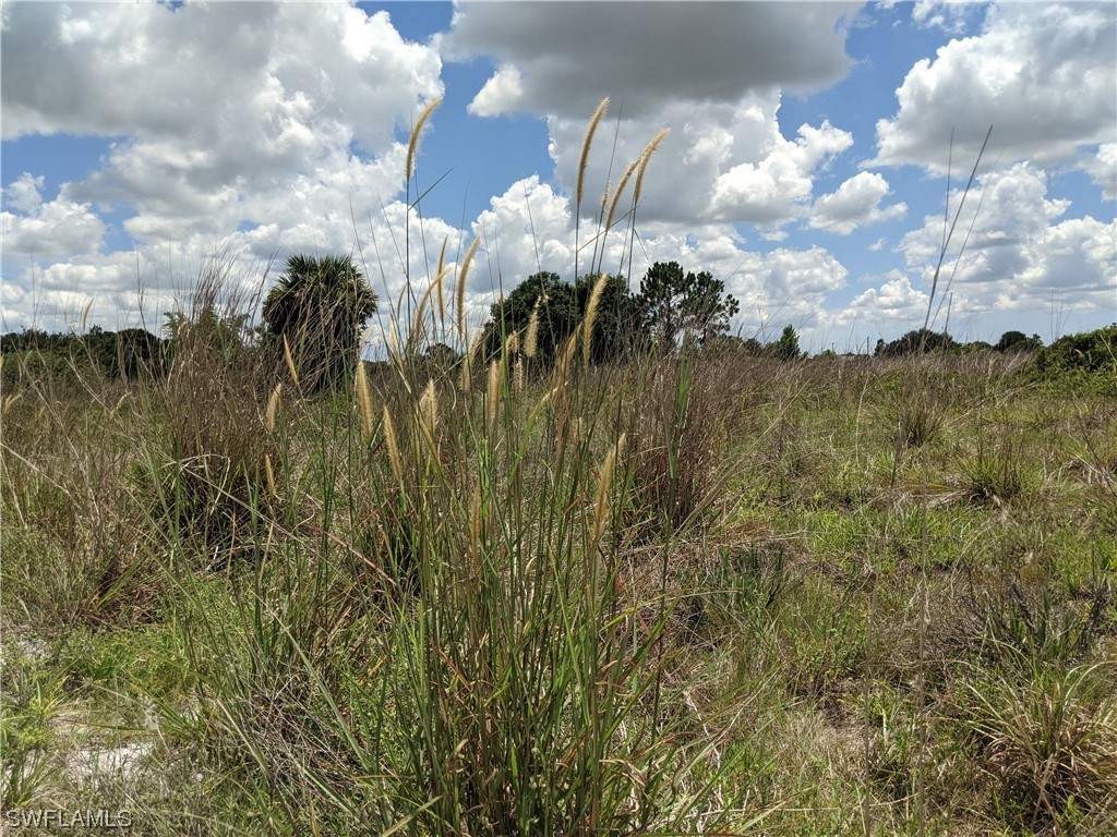 XX 58th Avenue NE Naples FL 34120 222042178 image1