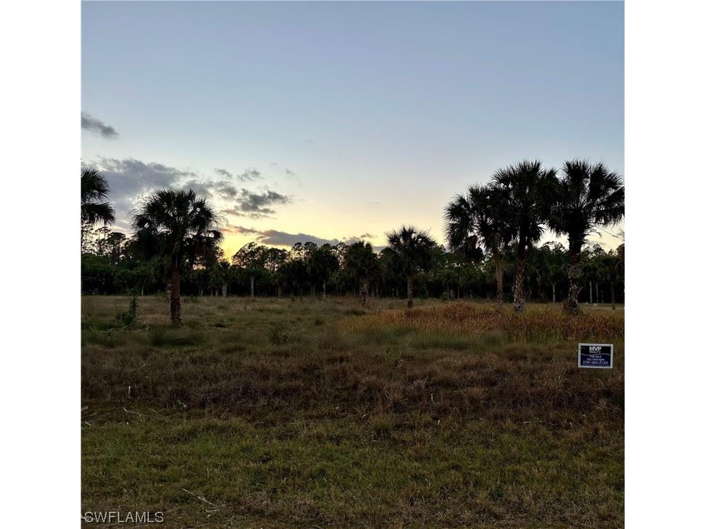 XXX 29th Street SW Naples FL 34117 223003501 image1