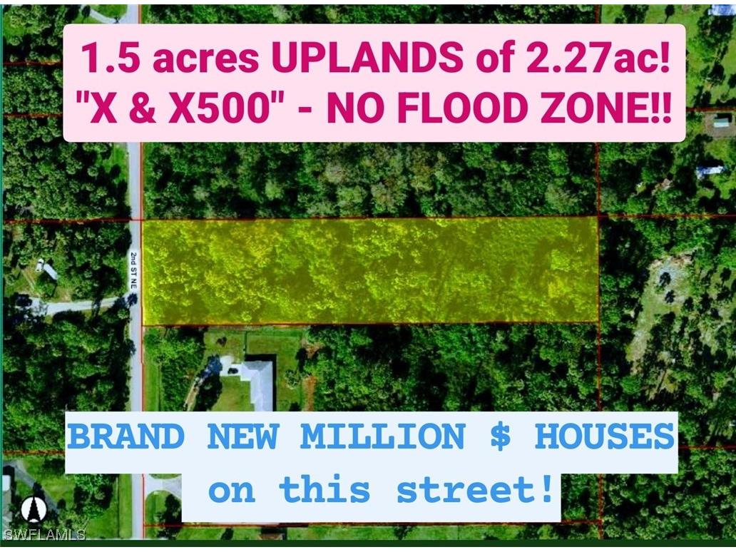 XXX 2nd Street NE Naples FL 34120 224018658 image1