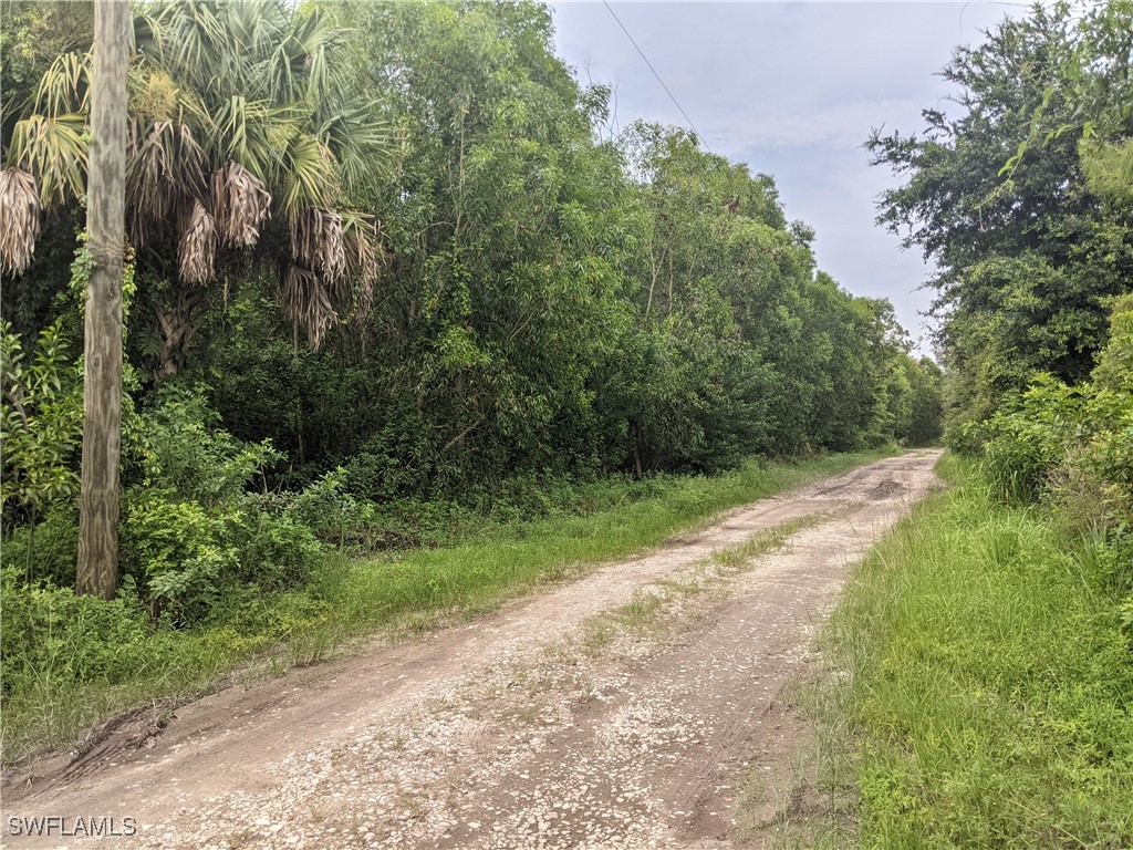 XXX Everly Avenue Naples FL 34117 224064450 image1