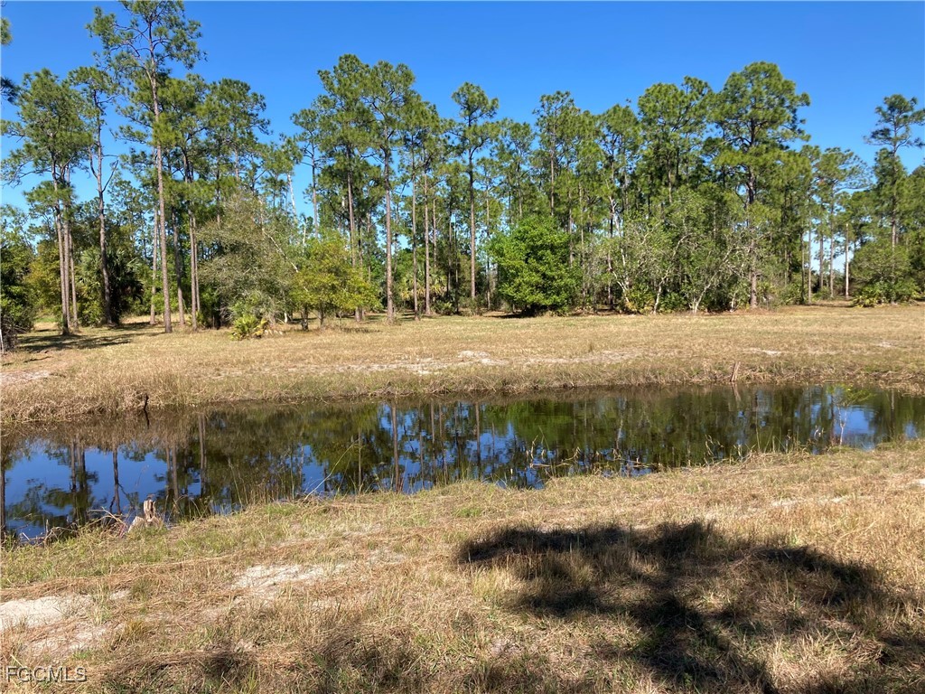 XXX Honeybee Drive Naples FL 34120 2025025521 image10