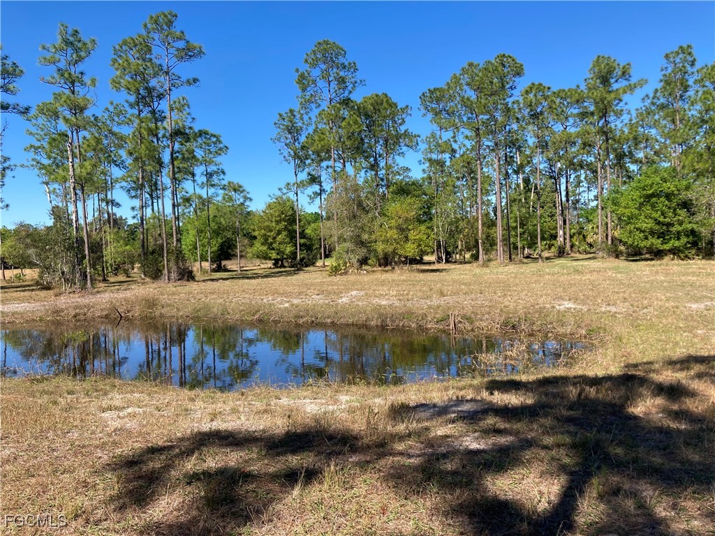 XXX Honeybee Drive Naples FL 34120 2025025521 image11