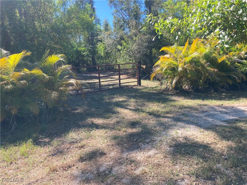 XXX Honeybee Drive Naples FL 34120 2025025521 image2