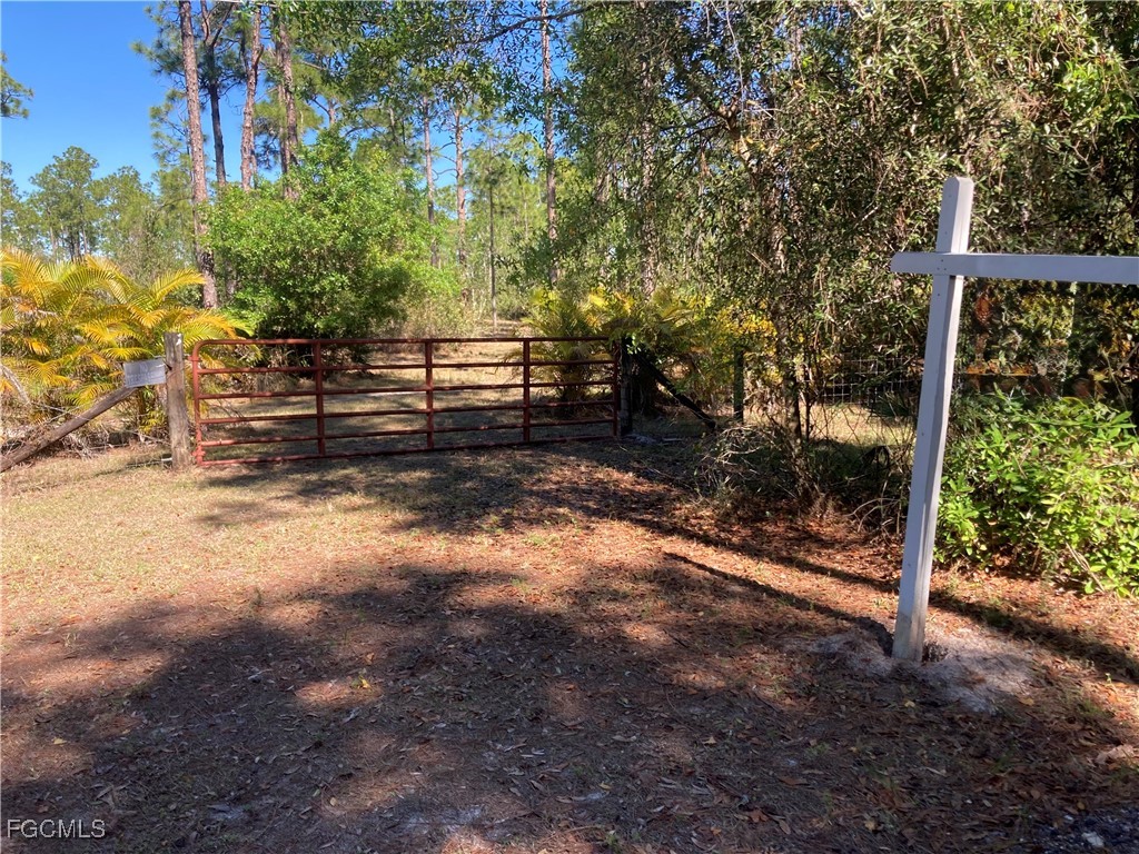 XXX Honeybee Drive Naples FL 34120 2025025521 image3