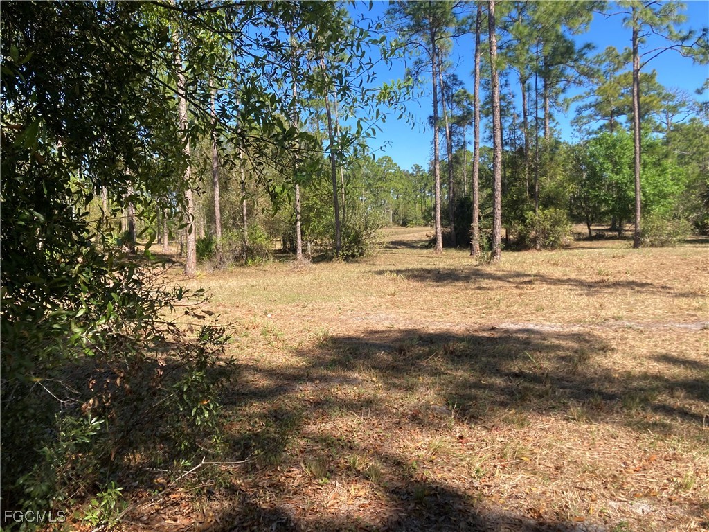 XXX Honeybee Drive Naples FL 34120 2025025521 image4