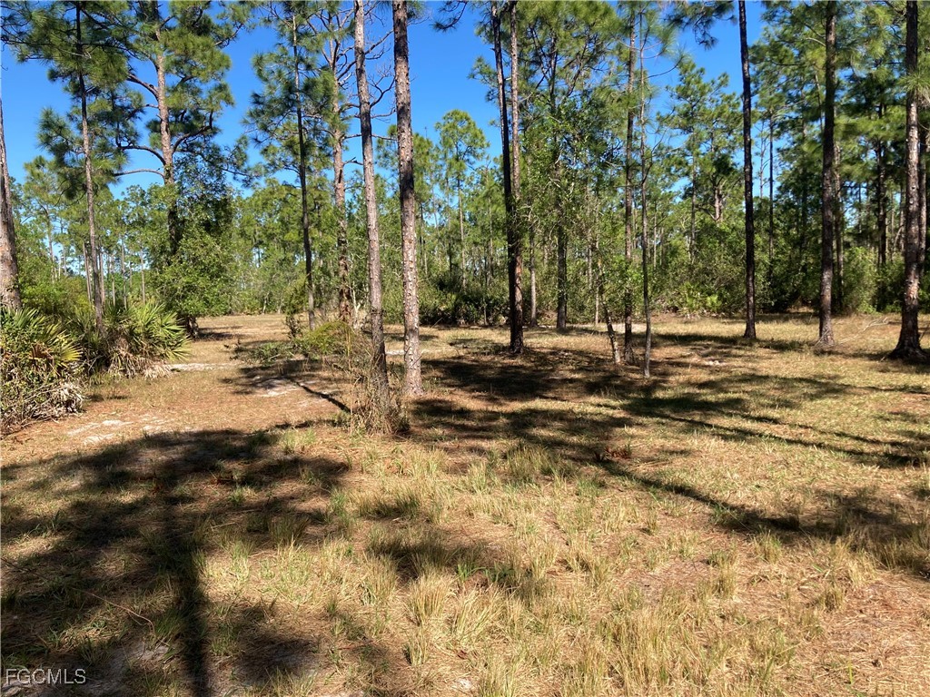 XXX Honeybee Drive Naples FL 34120 2025025521 image6