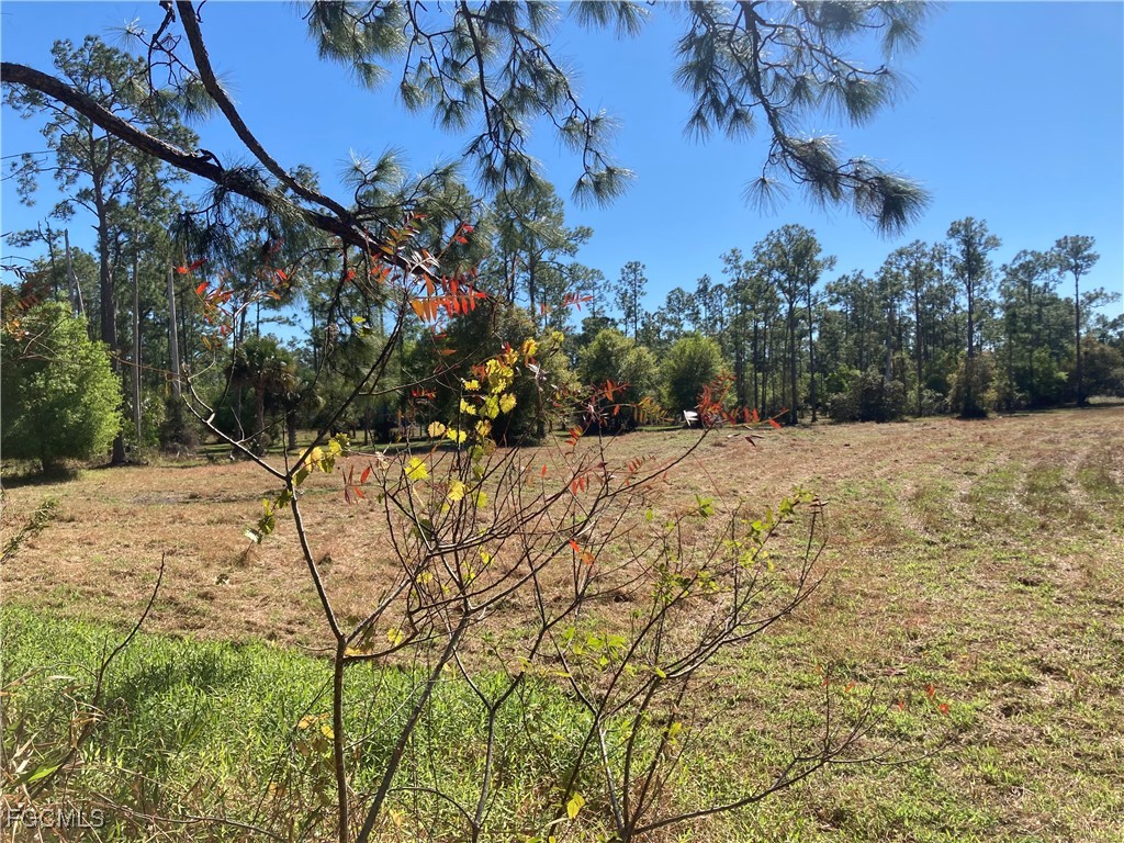 XXX Honeybee Drive Naples FL 34120 2025025521 image7