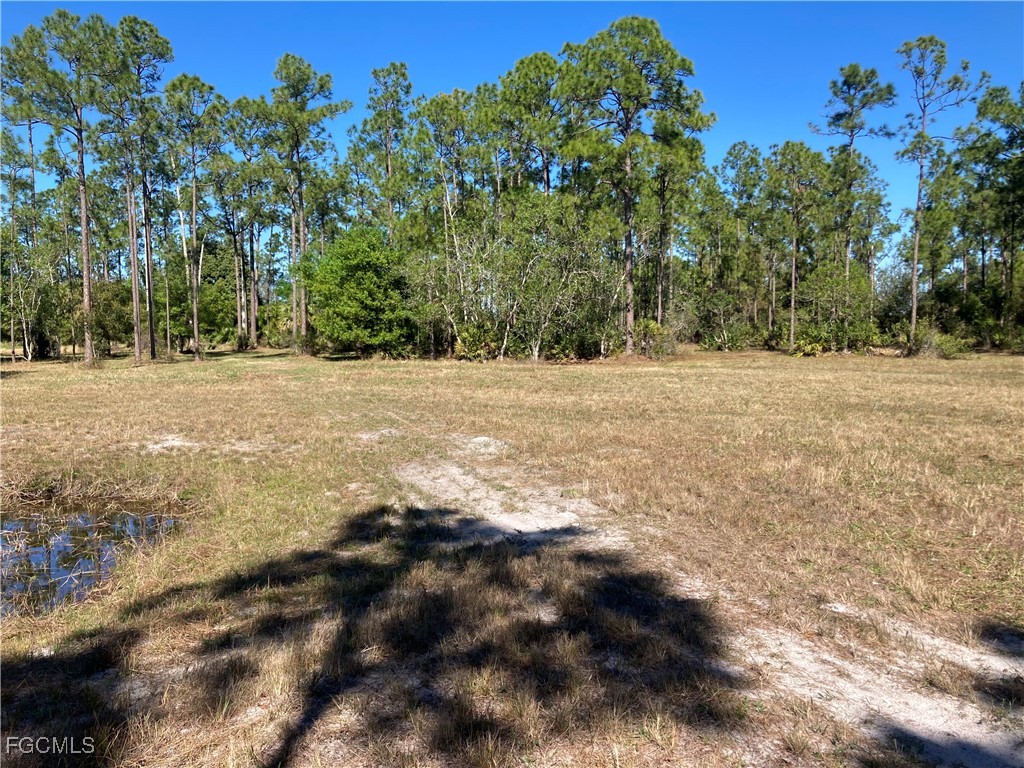 XXX Honeybee Drive Naples FL 34120 2025025521 image8