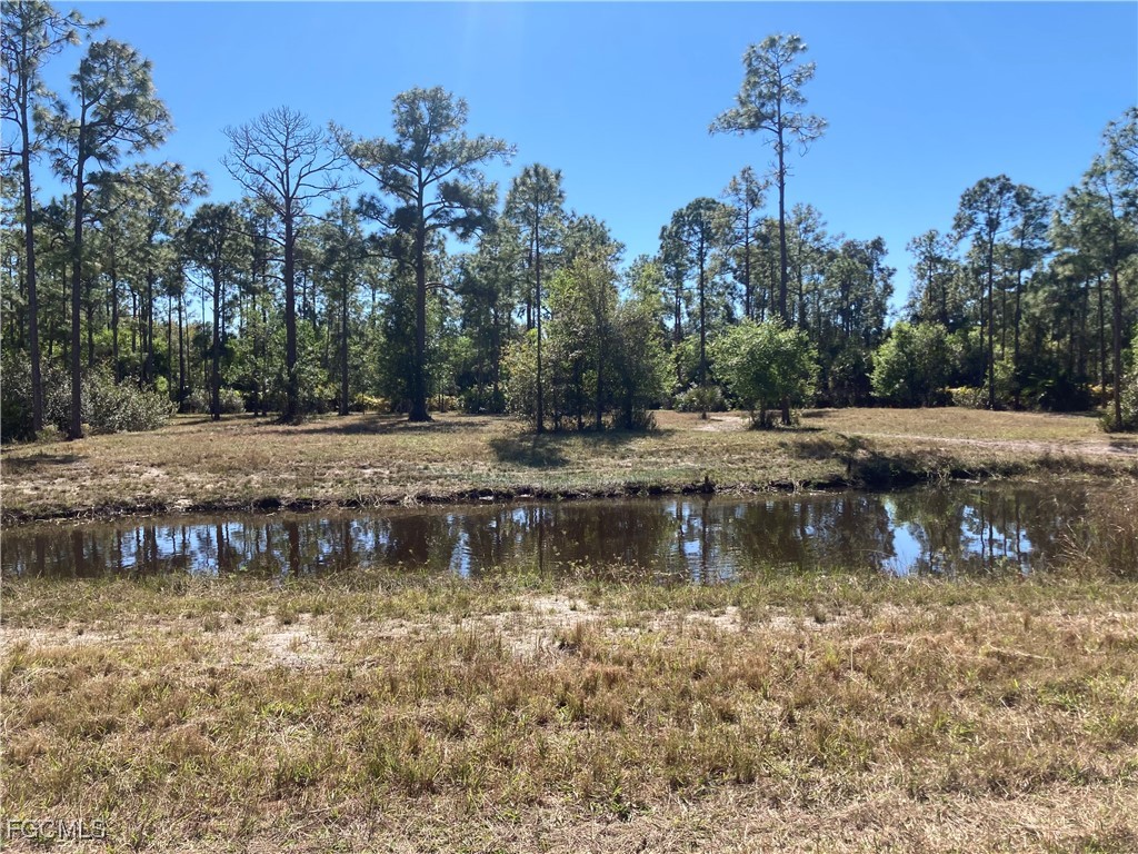 XXX Honeybee Drive Naples FL 34120 2025025521 image9