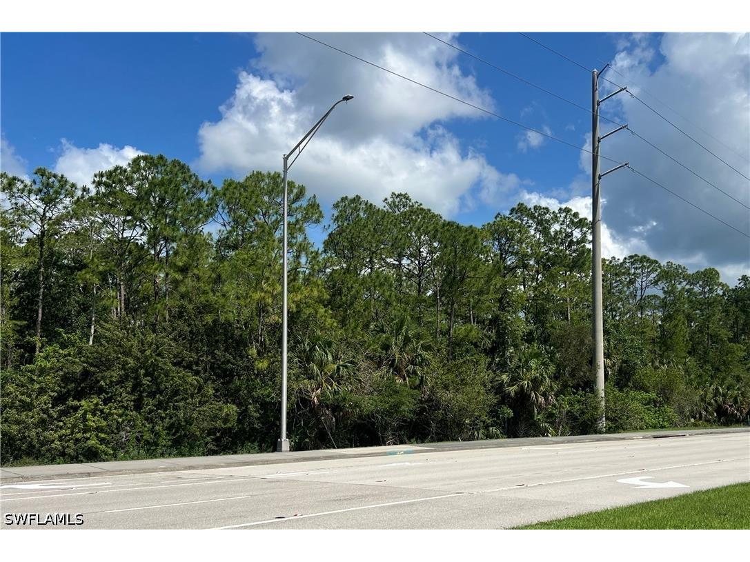 XXX Immokalee Road Naples FL 34120 226022870 image2