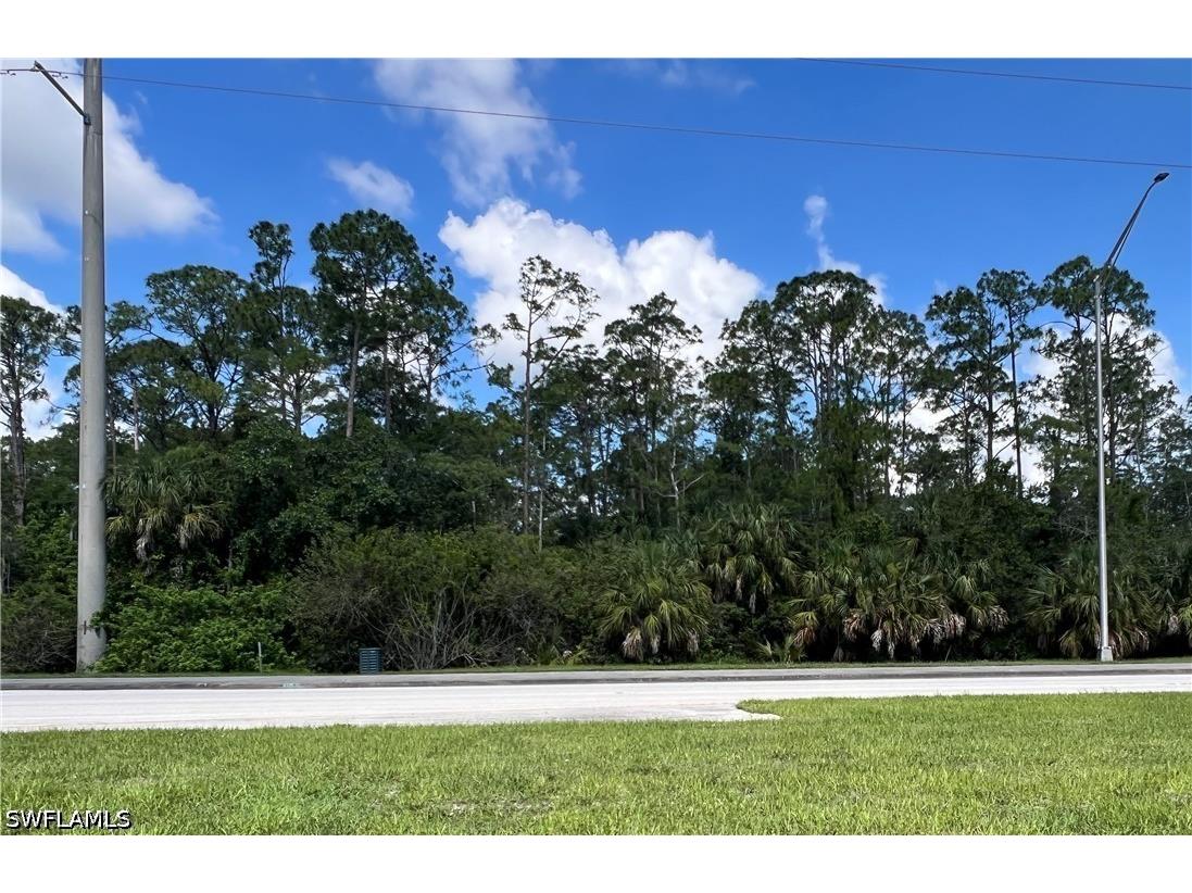 XXX Immokalee Road Naples FL 34120 226022870 image3