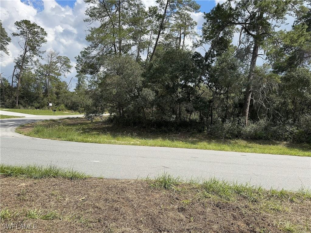 XXX SW 167th Loop Ocala FL 34473 225075487 image1