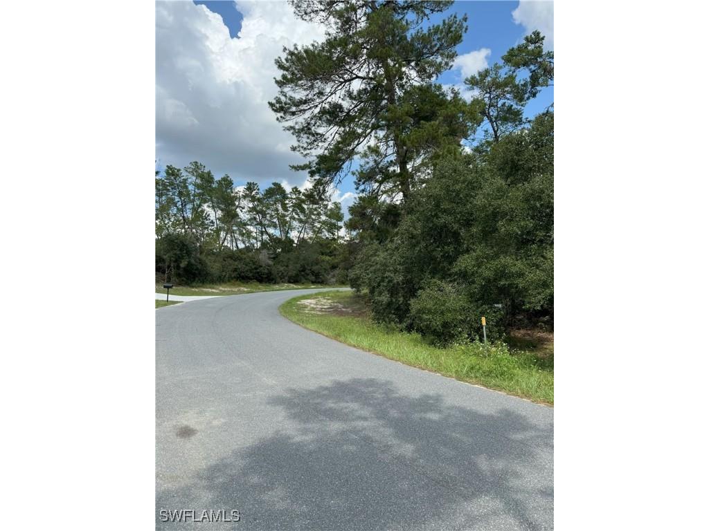 XXX SW 167th Loop Ocala FL 34473 225075487 image10