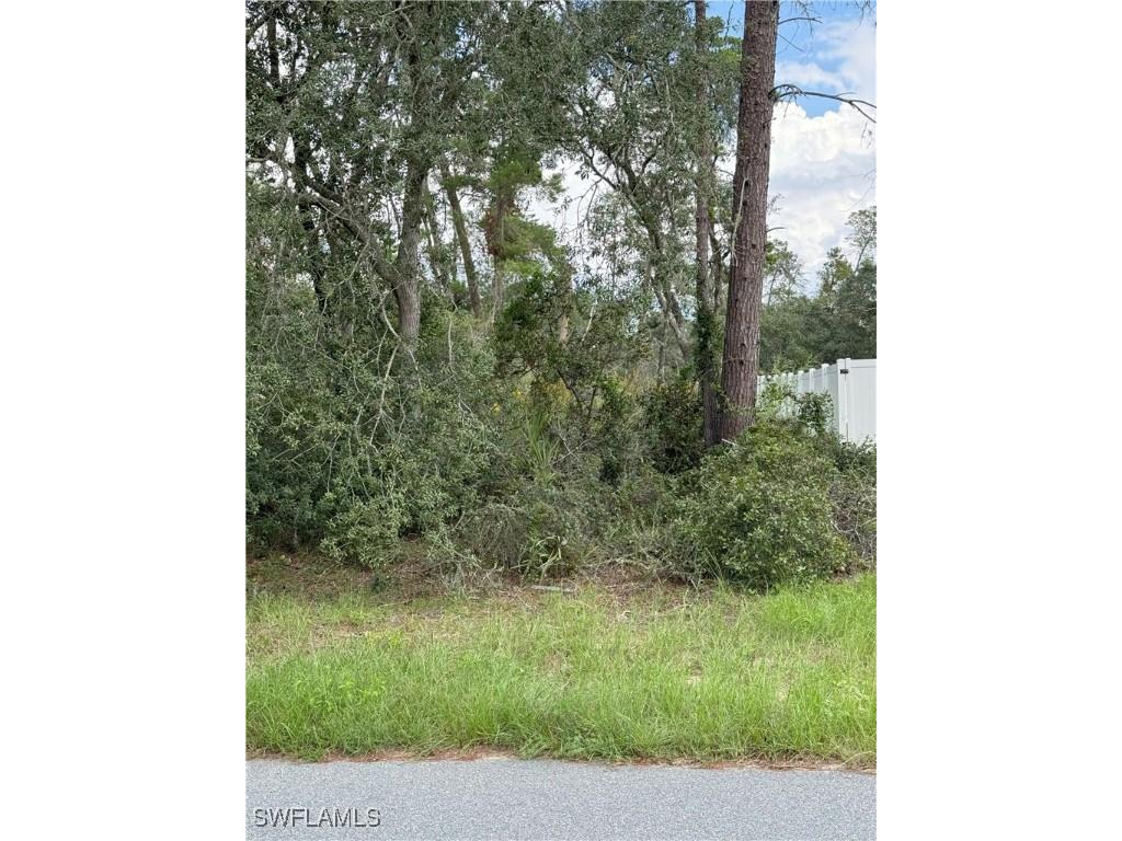 XXX SW 167th Loop Ocala FL 34473 225075487 image11