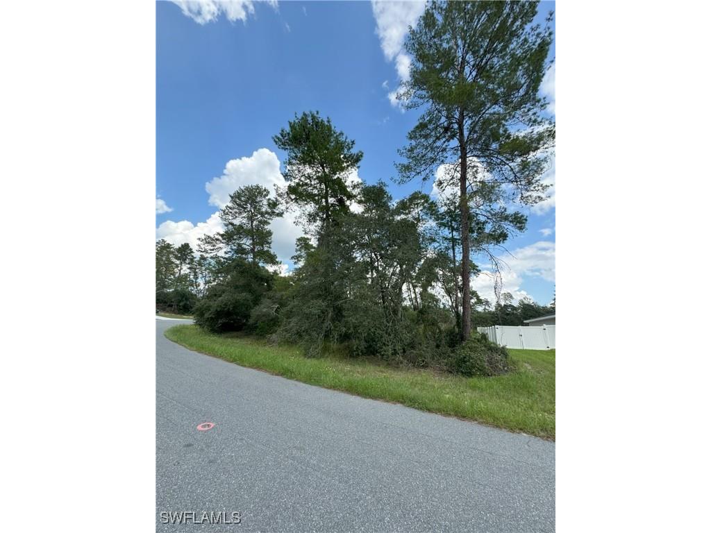 XXX SW 167th Loop Ocala FL 34473 225075487 image4