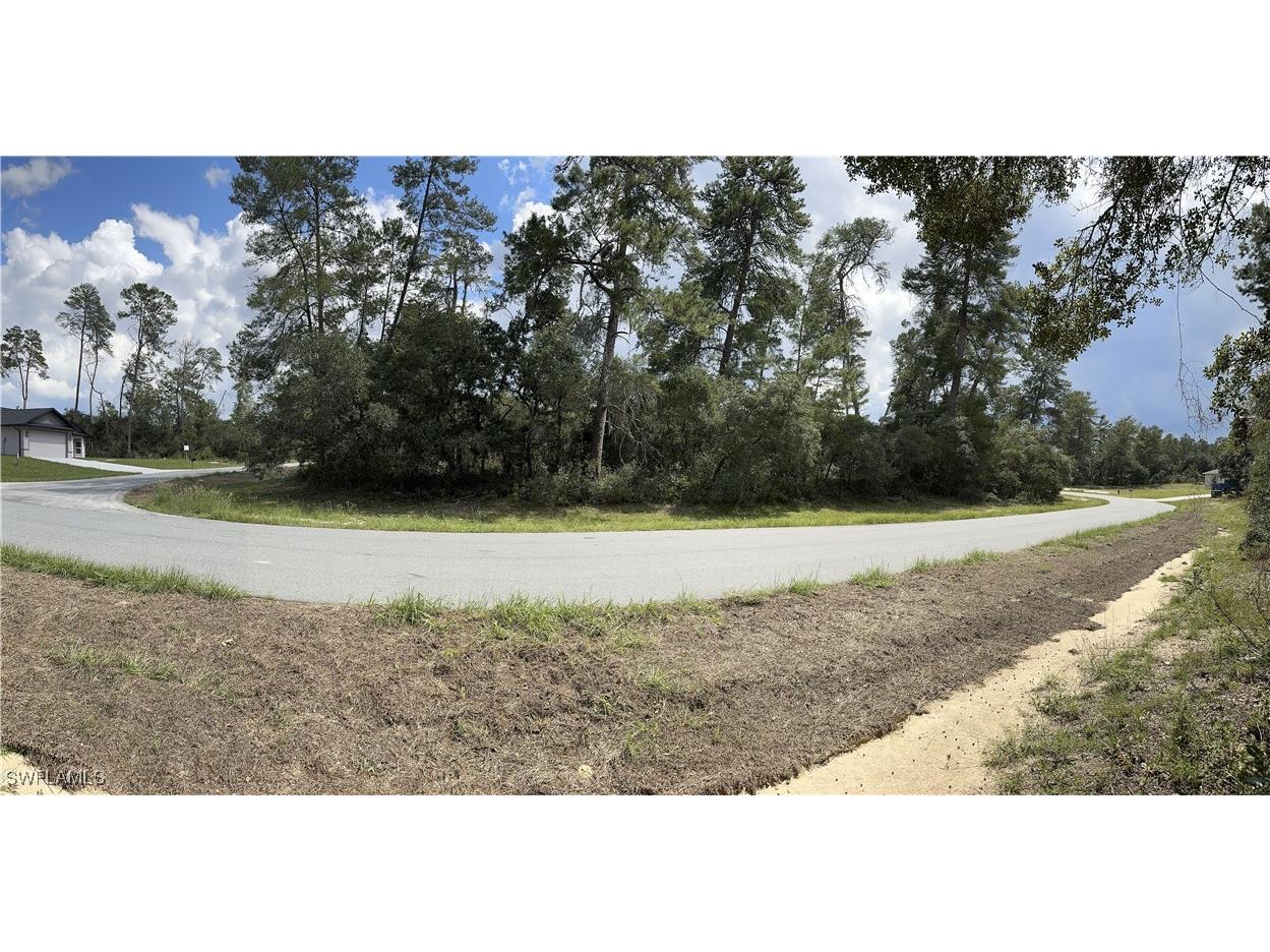 XXX SW 167th Loop Ocala FL 34473 225075487 image6