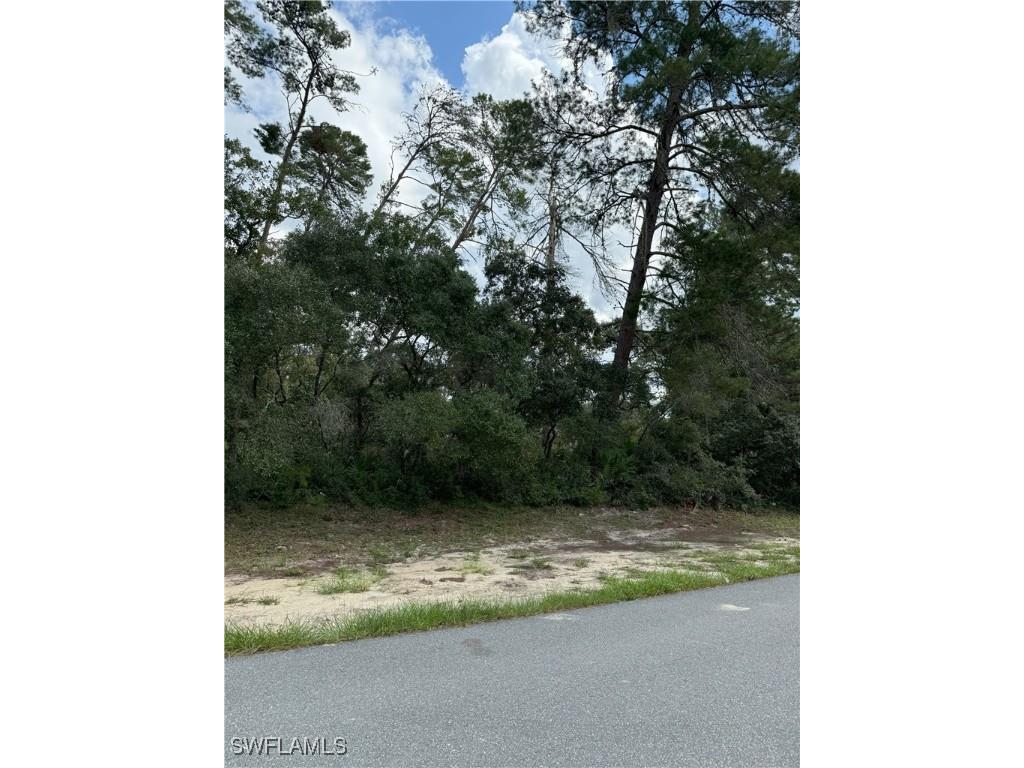 XXX SW 167th Loop Ocala FL 34473 225075487 image7