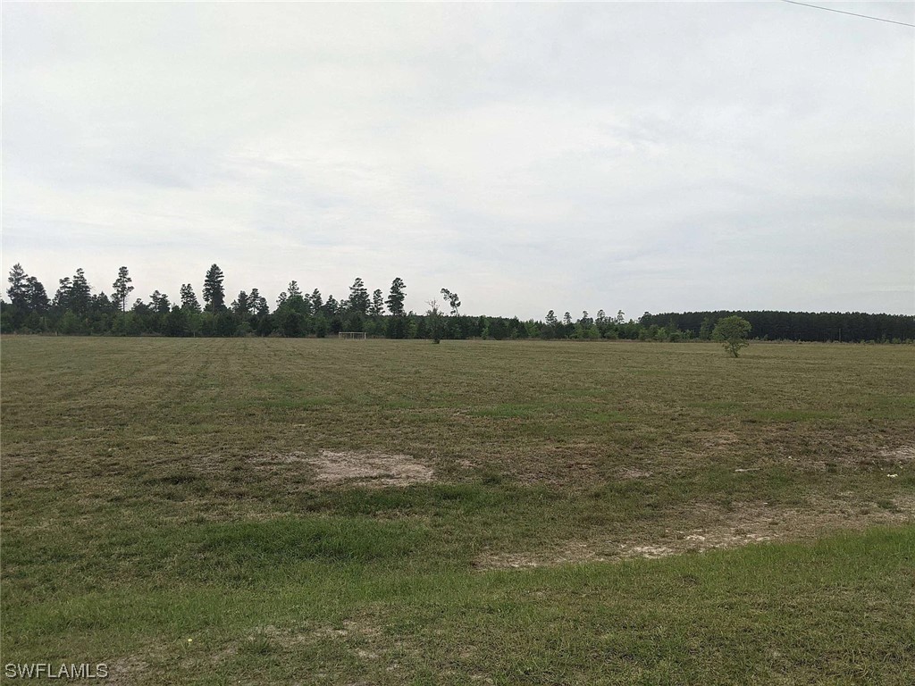 undisclosed NE Loblolly Trail Lee FL 32059 223057058 image1