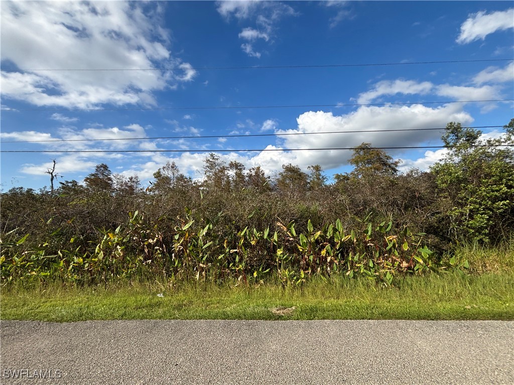 xxx 37th Ave Ne Naples FL 34120 225077251 image8