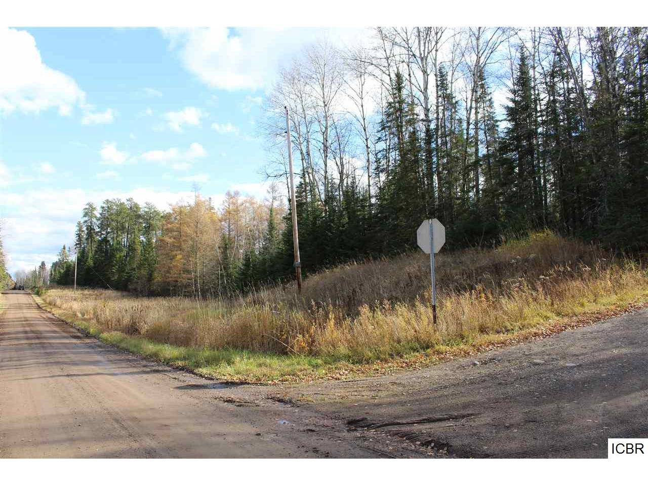 XXX KAUPPI LAKE RD, Cotton, MN, 55724 MLS 9930810 Edina Realty
