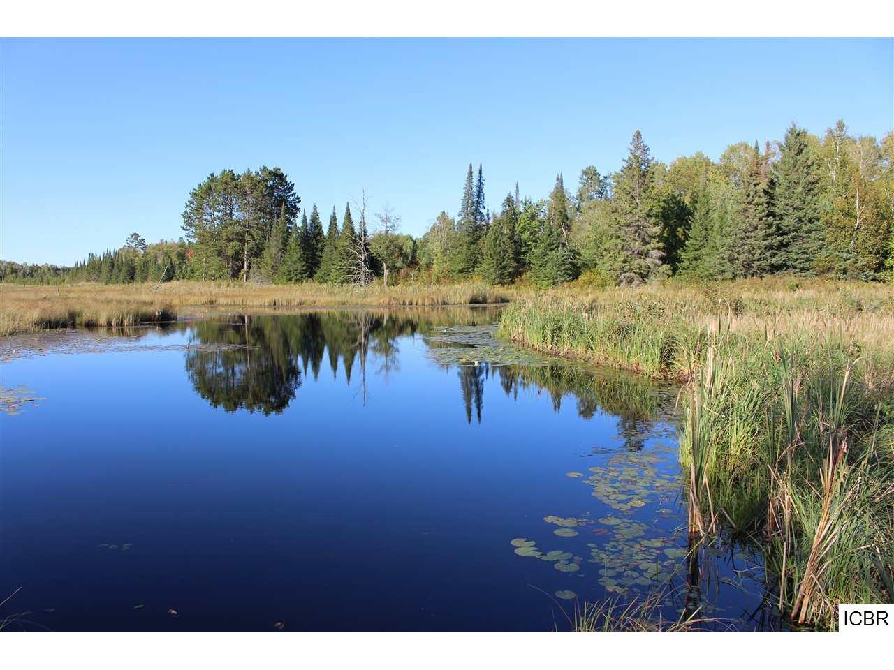 XXX W MELRUDE RD, Cotton, MN, 55724 MLS 9931306 Edina Realty