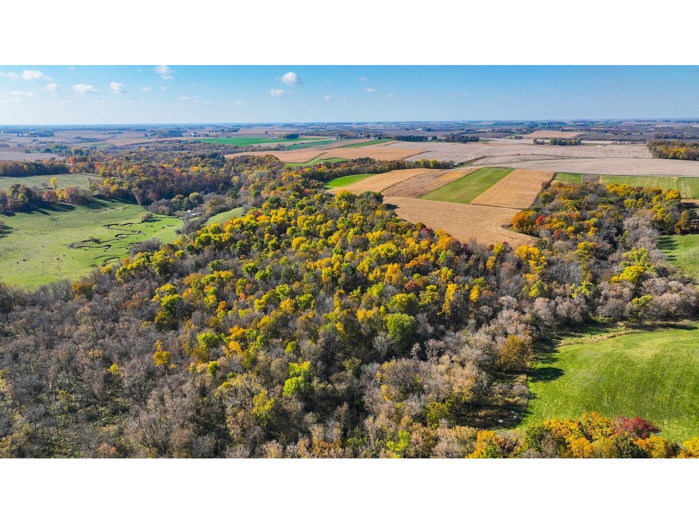 0 100 Pine Island MN 55963 1859043 image1