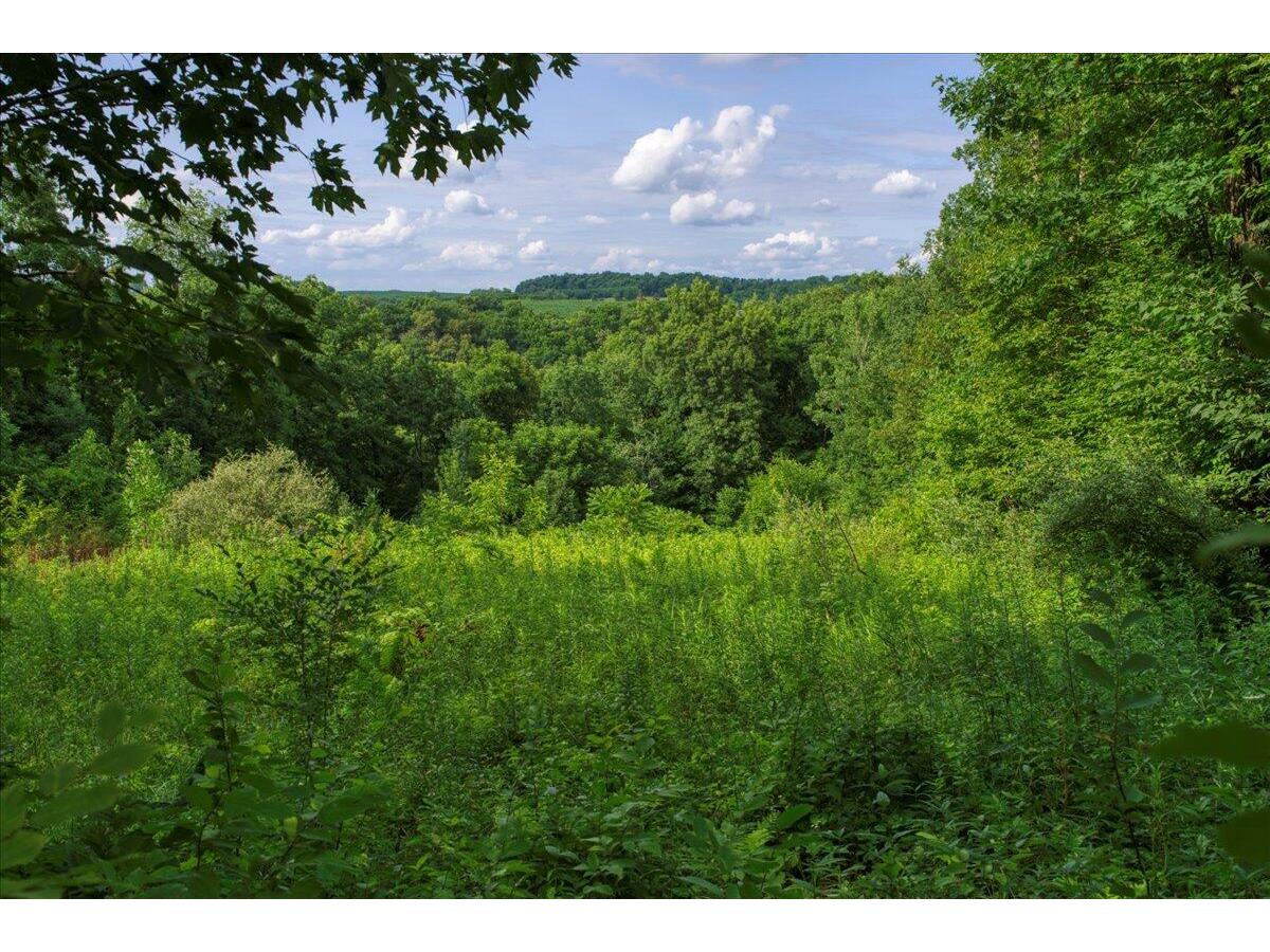 0 Battle Wheatland WI 54624 1843541 image1