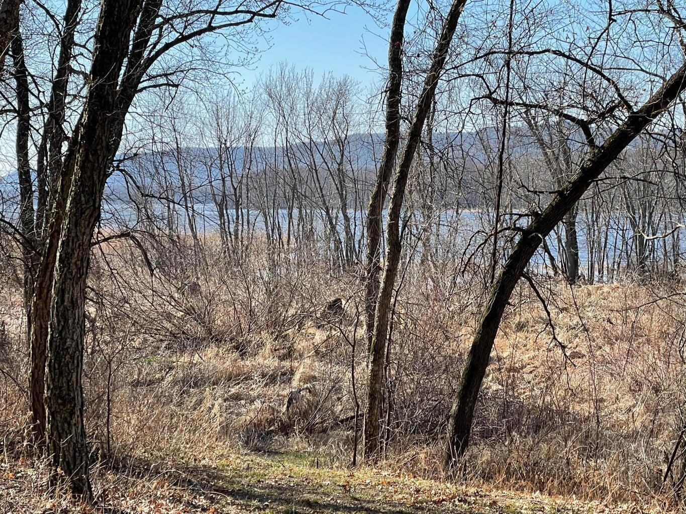 0 Birch Caledonia WI 54661 1960319 image16