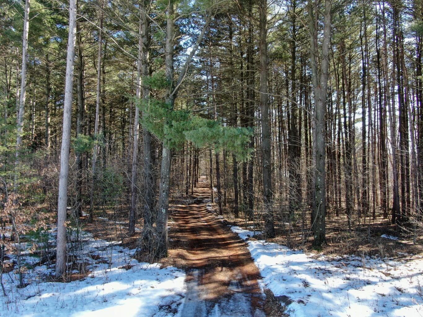 0 Birch Caledonia WI 54661 1960319 image17