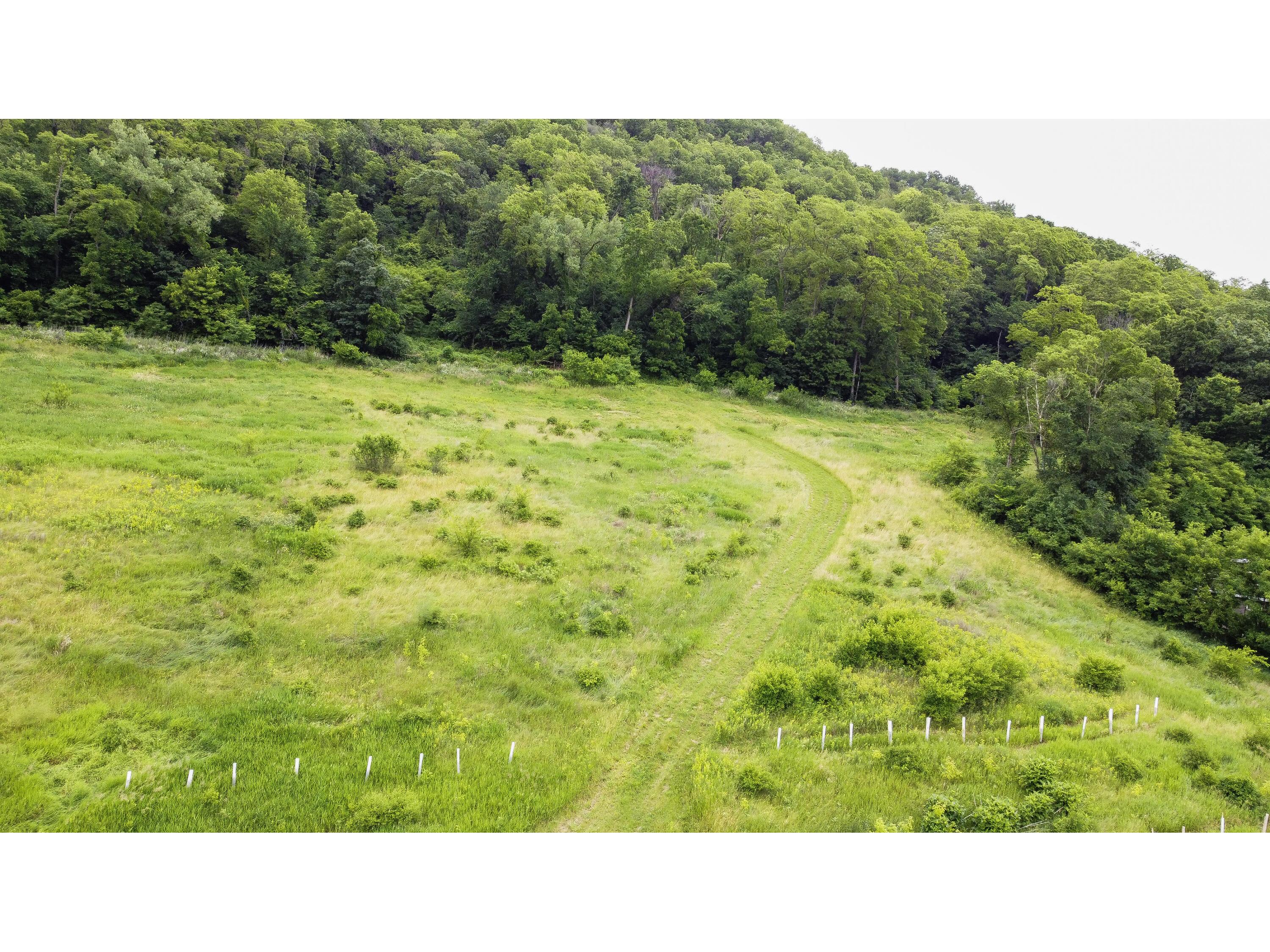 0 Bluff Siding, Buffalo, WI, 54629 MLS 1883449 Edina Realty