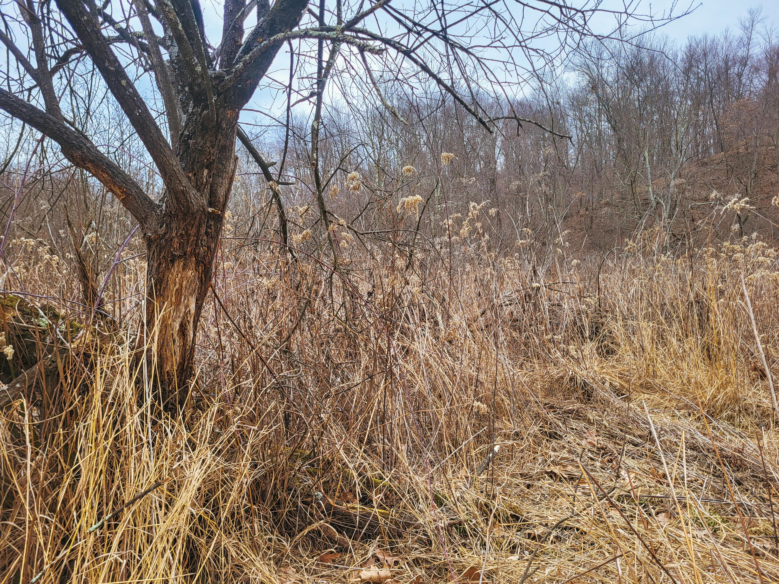 0 Briten Preston WI 54616 1864873 image1