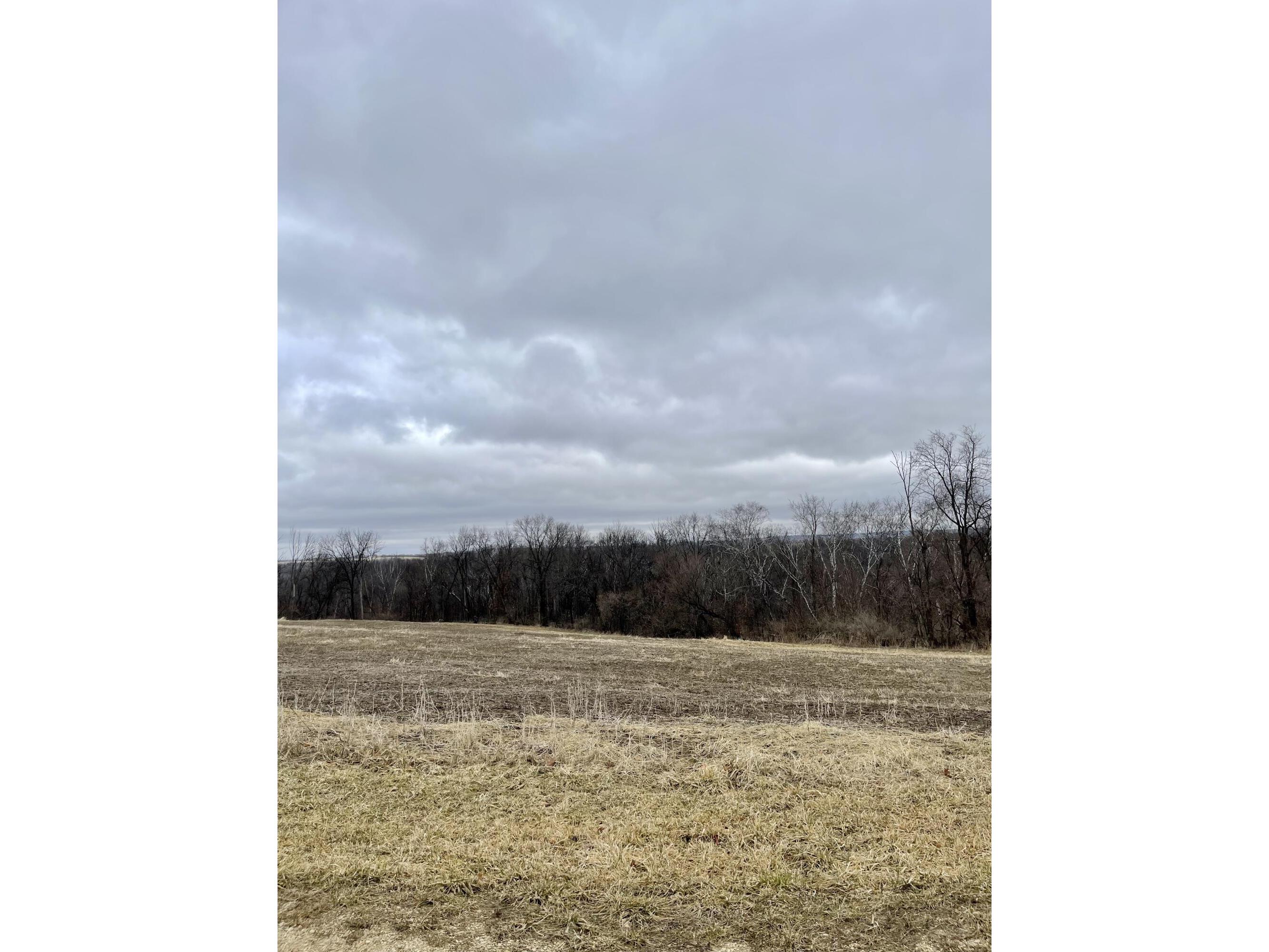 0 Buck Creek Freeman WI 54628 1829612 image1