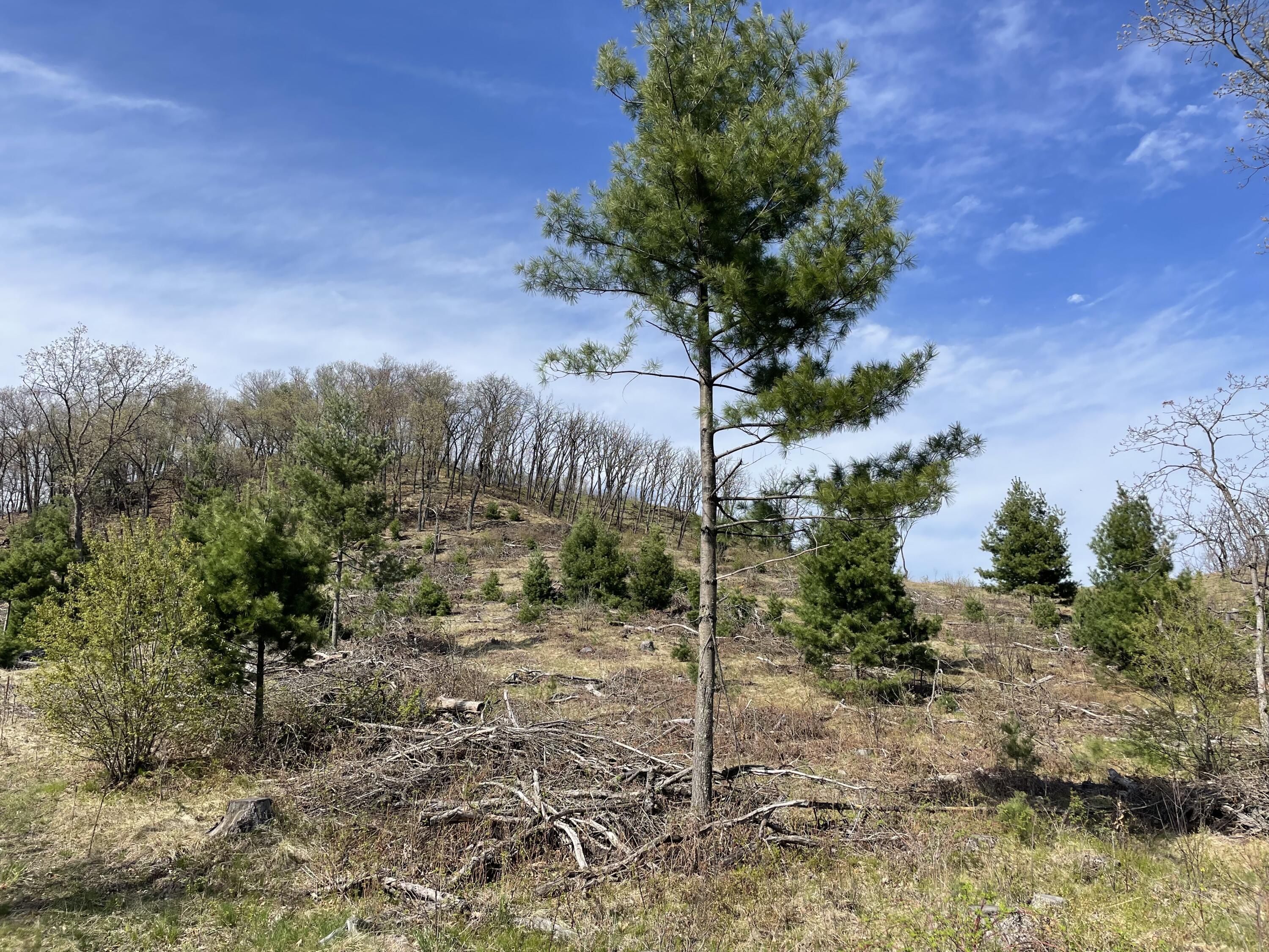 0 COUNTY HIGHWAY II Little Falls WI 54656 1874636 image1