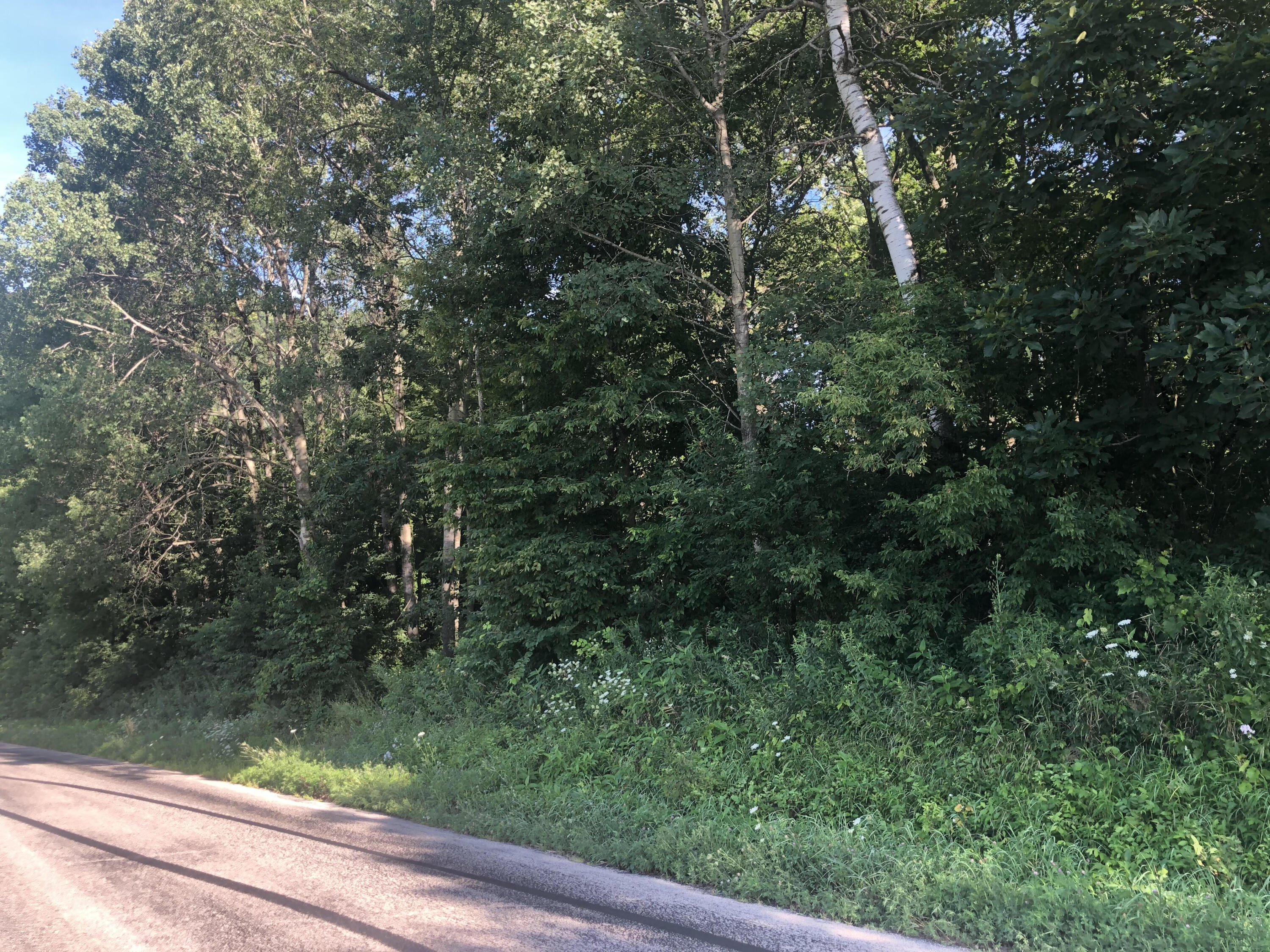 0 Chipmunk, Shelby, WI, 54601 MLS 1769673 Edina Realty