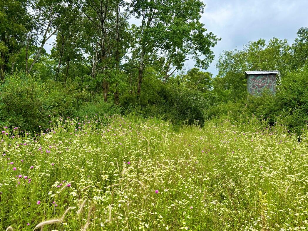 0 Co Hwy 13 Houston MN 55943 1971473 image32