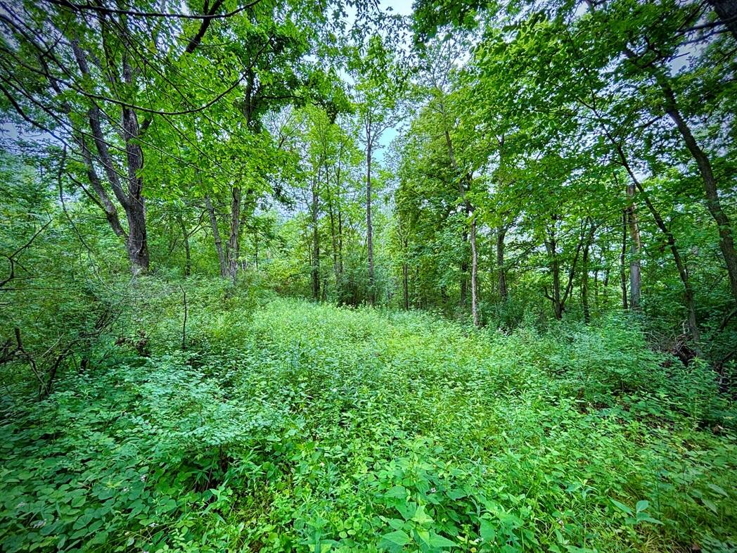 0 Co Hwy 13 Houston MN 55943 1971473 image33