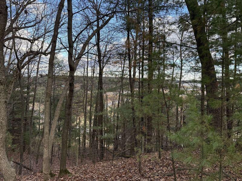 0 County Highway EW Lincoln WI 54666 1901583 image1