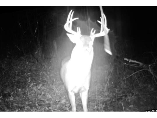 S2318 County Hwy 35 Belvidere WI 54622 1864614 image1