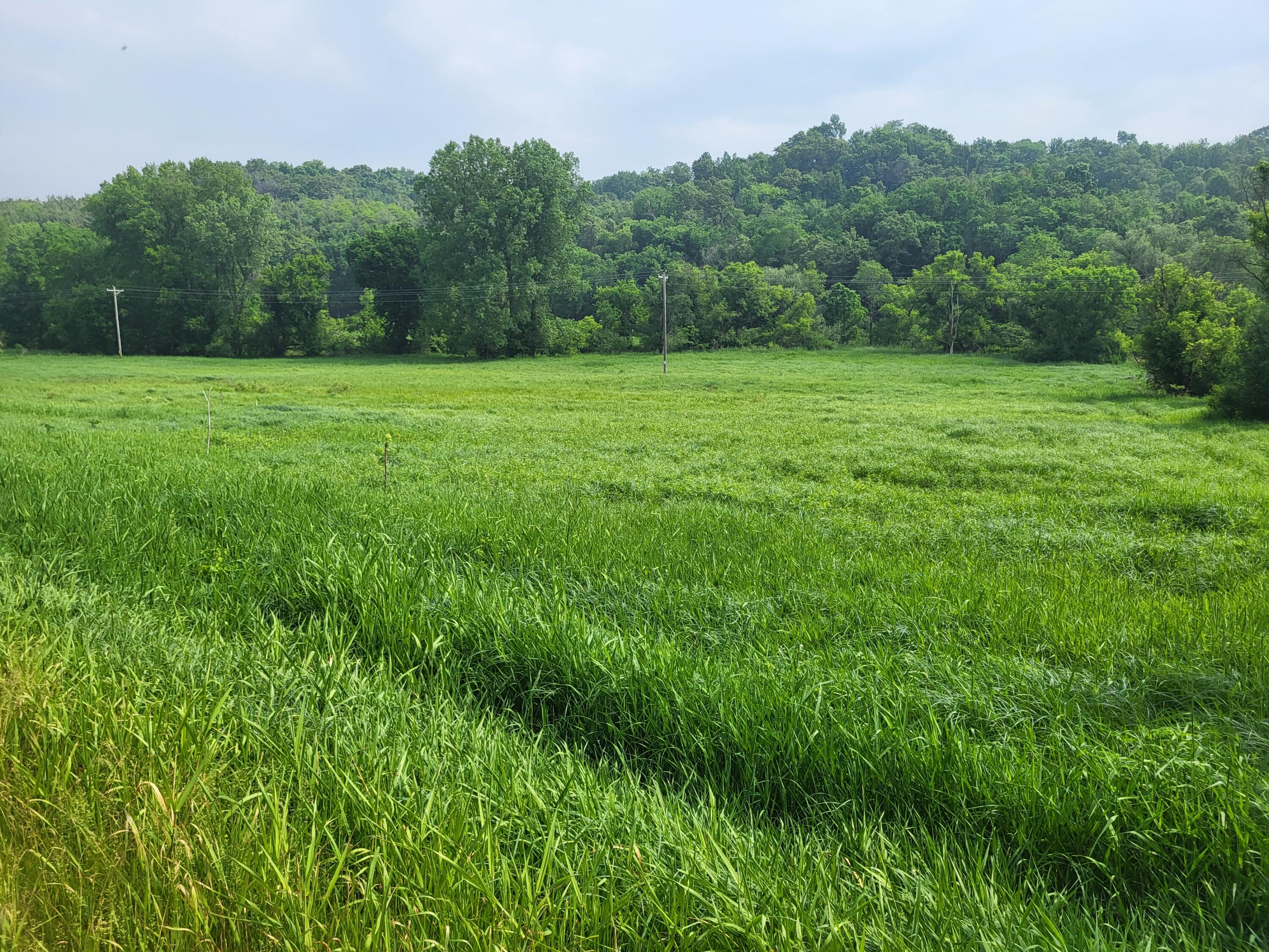 0 County Rd D Ettrick WI 54627 1837440 image1