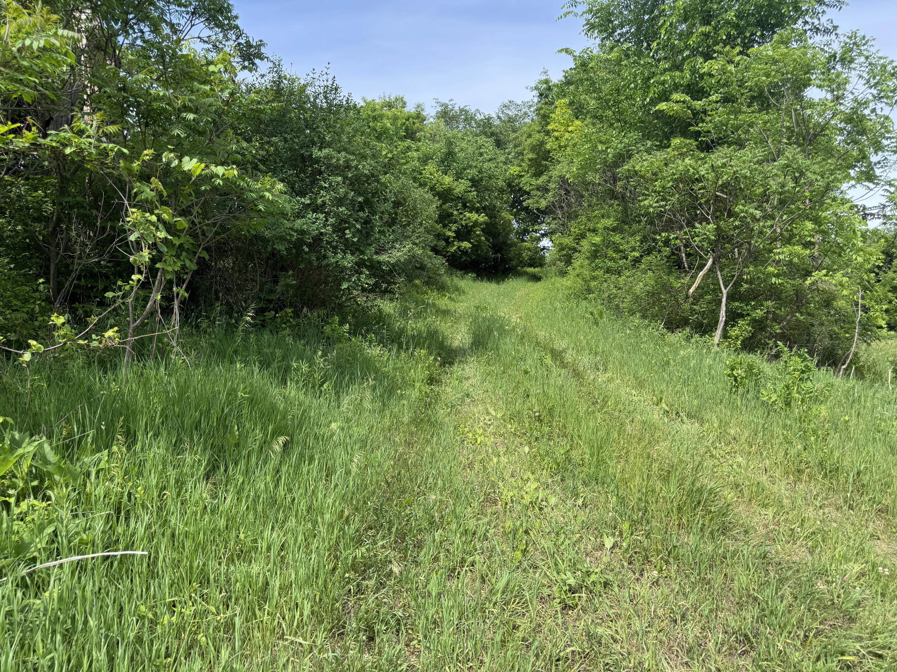 0 County Rd JJ Arcadia WI 54612 1965609 image11