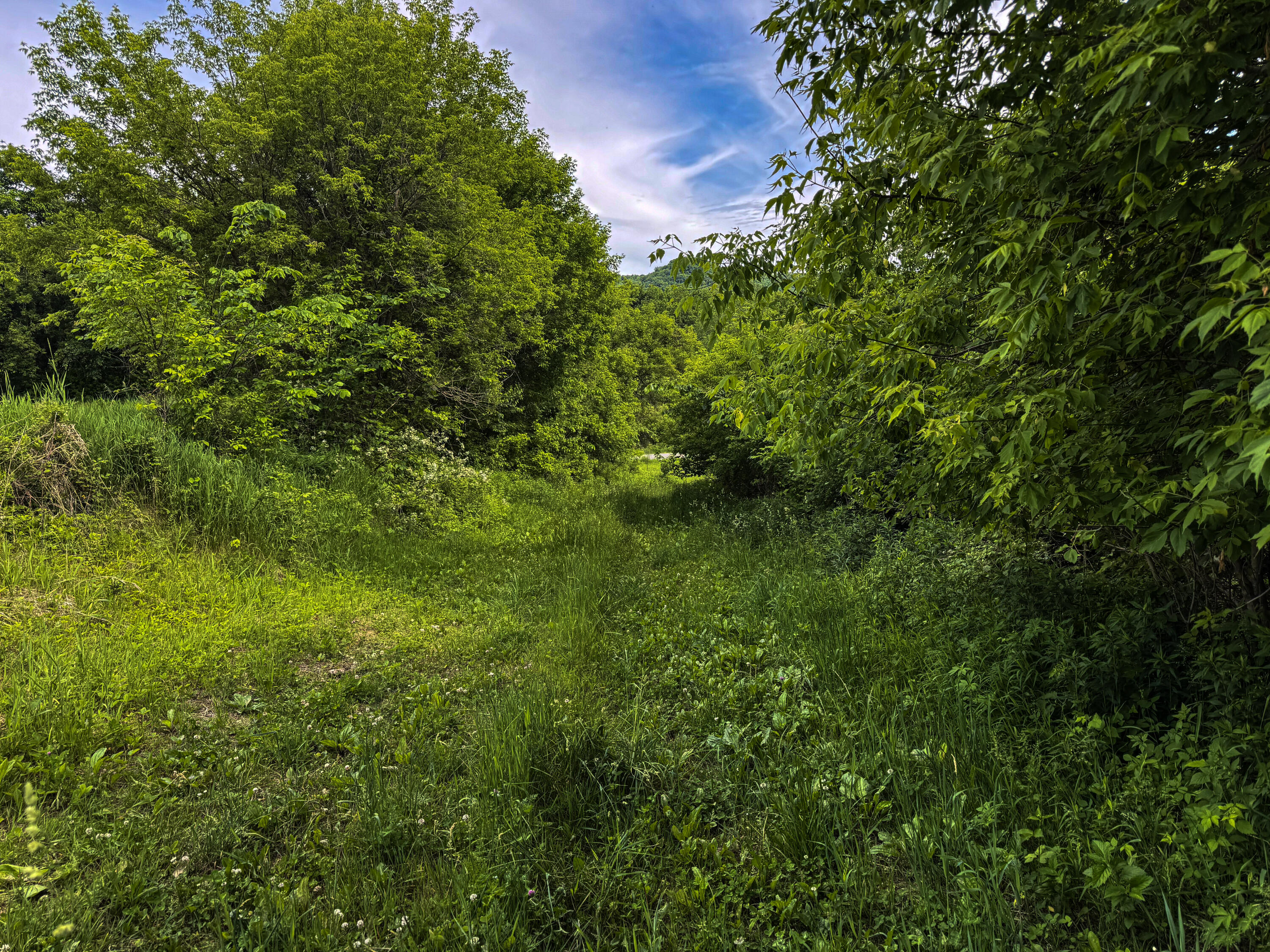 0 County Rd JJ Arcadia WI 54612 1965609 image12
