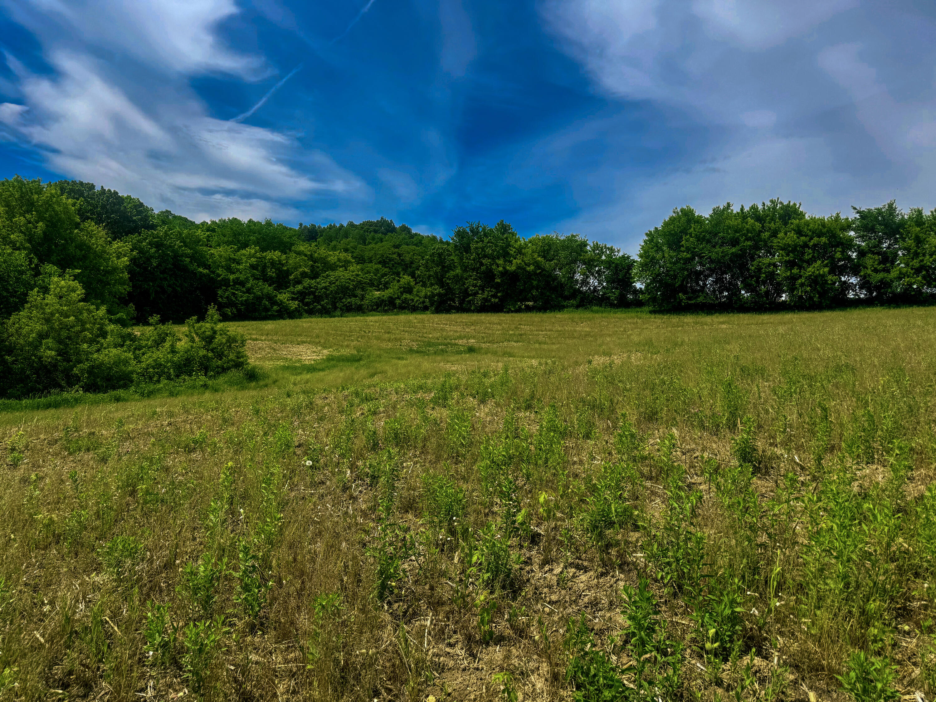 0 County Rd JJ Arcadia WI 54612 1965609 image26