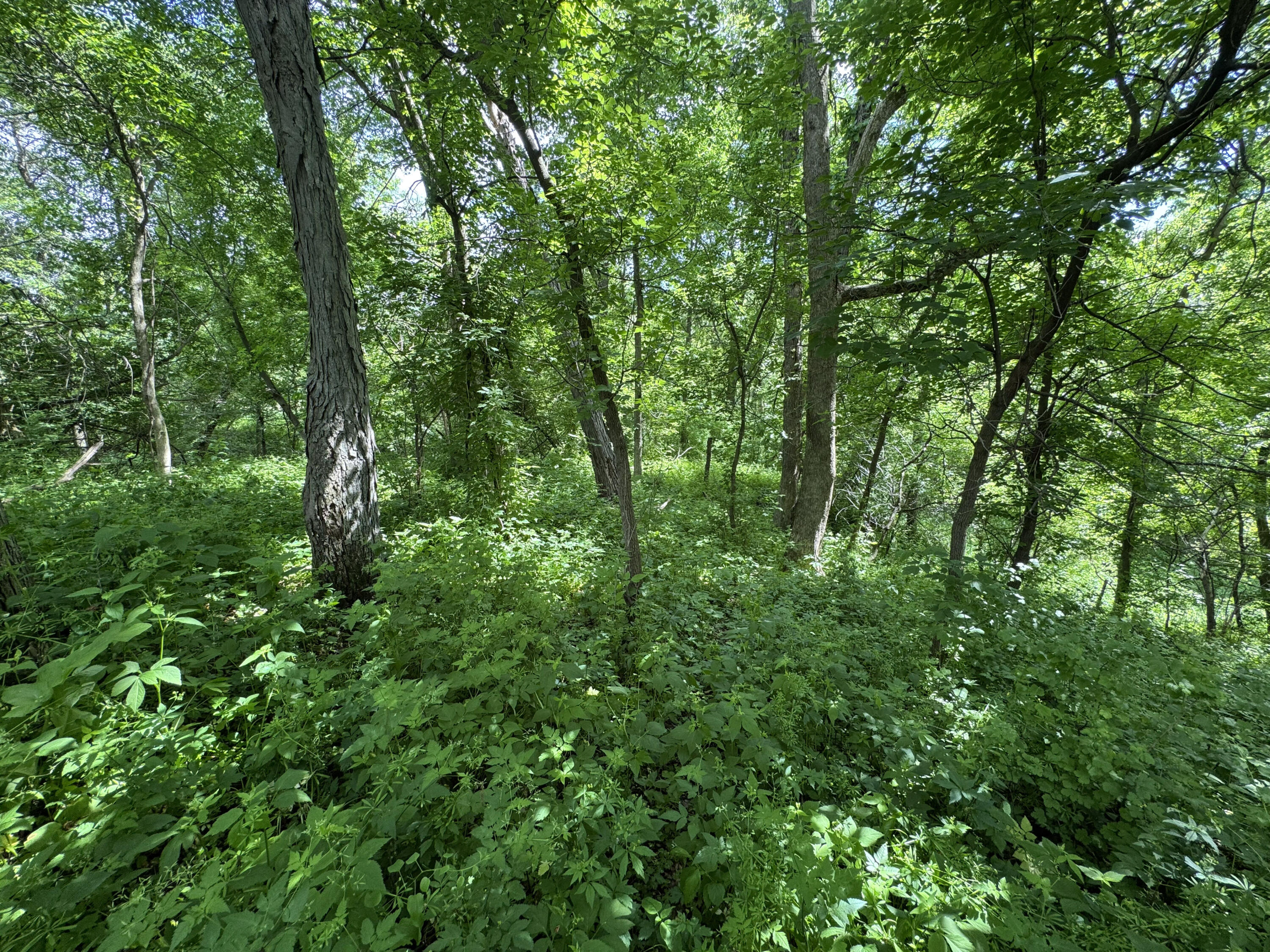 0 County Rd JJ Arcadia WI 54612 1965609 image27